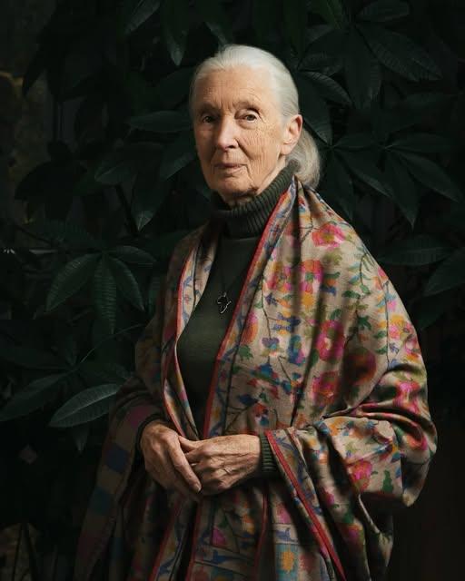 國際動物行為研究及永續教育先驅「珍古德」(Jane Goodall) 辭世，享年91歲。(珍古德協會香港分會 Facebook 照片)
