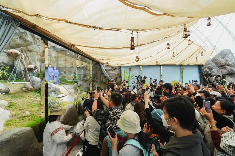 受惠大熊貓熱潮，海洋公園上年度入場人次上升一成至346萬，計及政府保育及教育補助，經營盈餘4240萬元。海洋公園圖片。