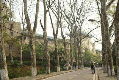 wuhan1.jpg