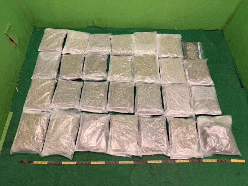 (政府新聞公報圖片)