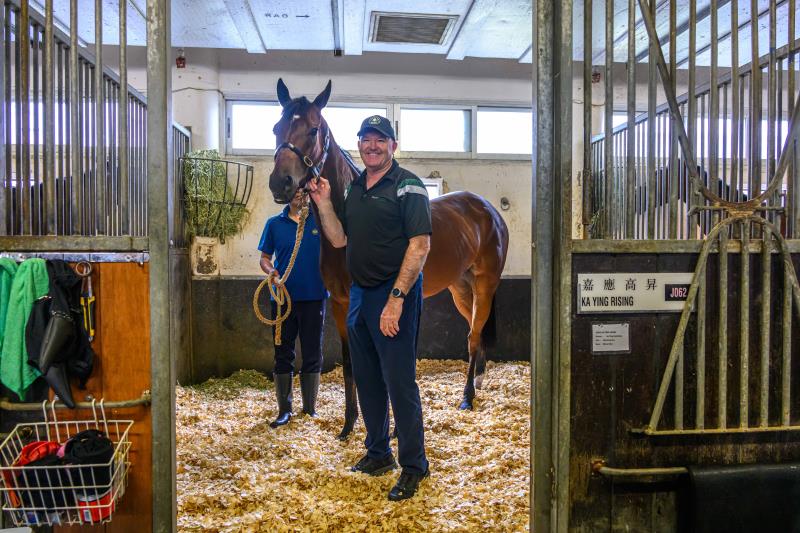 應屆香港馬王「嘉應高昇」將於2月22日（年初六）出戰一級賽「女皇銀禧紀念盃」，若能一戰功成，將創出歷史性的18連勝。(馬會提供)