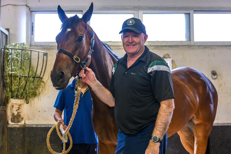 練馬師大衛希斯表示，「嘉應高昇」目前狀態理想，經過持續調整後更為成熟強壯，增程挑戰沙田1400米草地賽紀錄。(馬會提供)