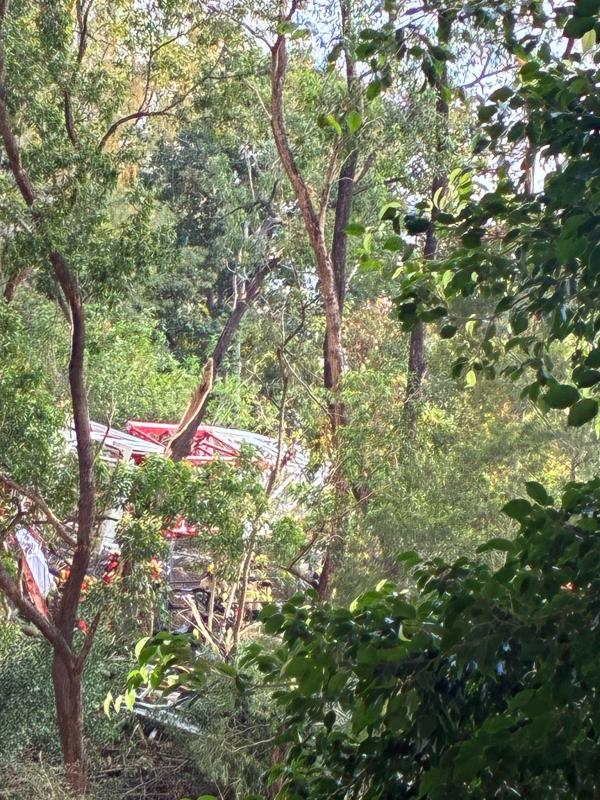 部份天秤倒塌後跌落附近山坡。 (本台記者攝)