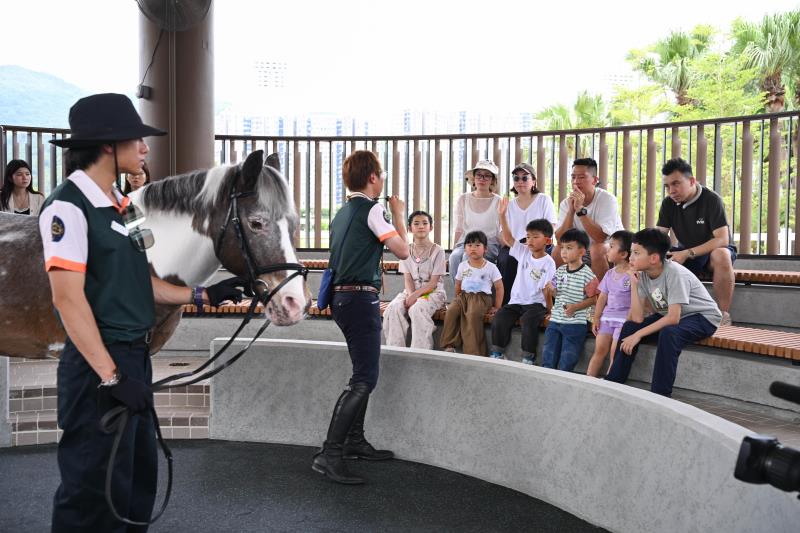 在彭福公園內的「小馬大本營」可培養兒童認識馬術運動文化、馬房運作。(馬會圖片)