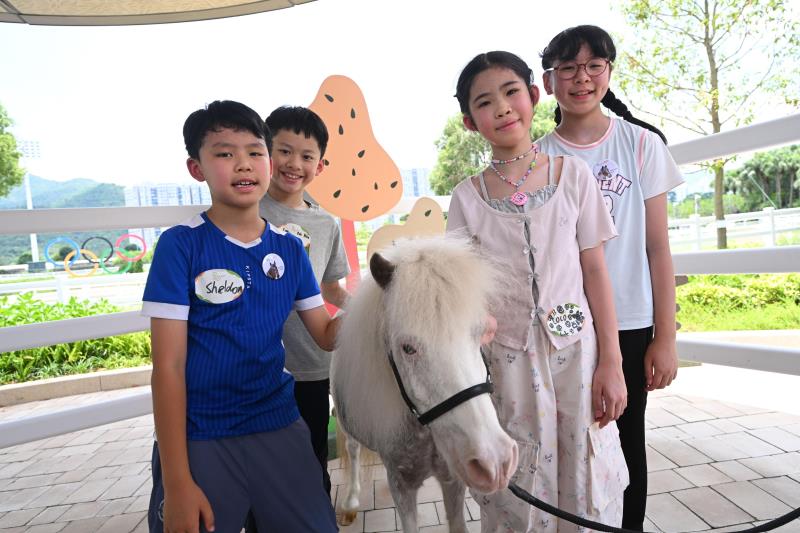 「小馬大本營」讓兒童親近小馬，培育愛護動物意識。(馬會囻片)