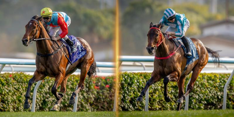「嘉應高昇」及「浪漫勇士」一同榮登本年度香港馬王寶座. （馬會提供圖片）