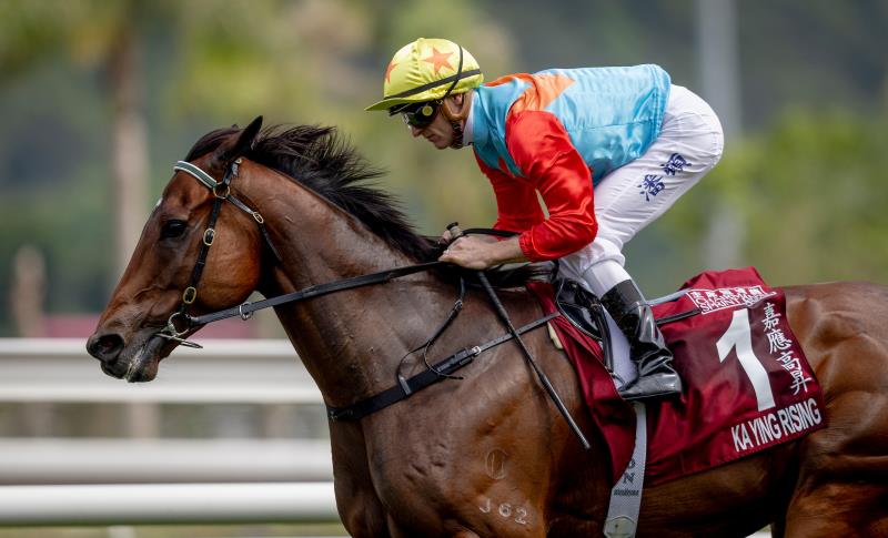 「嘉應高昇」獲選為本年度最佳短途馬. （馬會提供圖片）